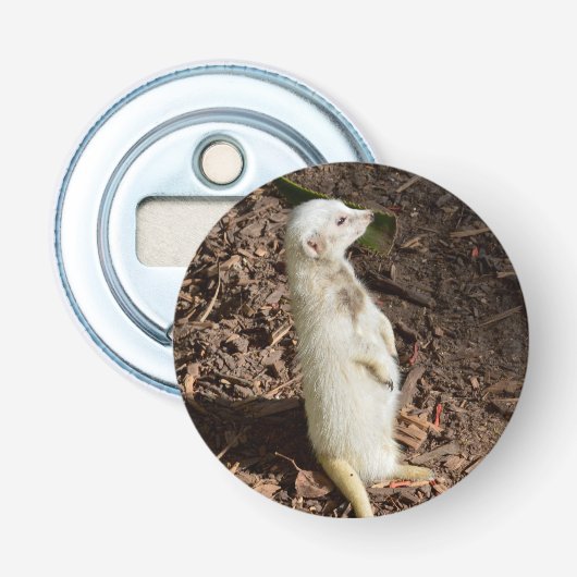White Meerkat, Magnetic Bottle Opener. Button Flesopener (Voorkant)