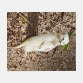 White Meerkat, Medium Fleece Blanket. Deken (Voorkant (Horizontaal))