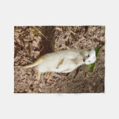 White Meerkat, Small Fleece Blanket. Deken (Voorkant (Horizontaal))