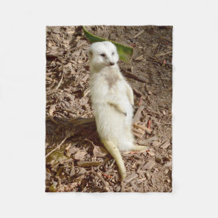 White Meerkat, Small Fleece Blanket. Deken