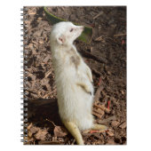 White Meerkat Standing, Notitieboek (Voorkant)