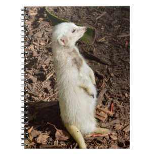 White Meerkat Standing, Notitieboek