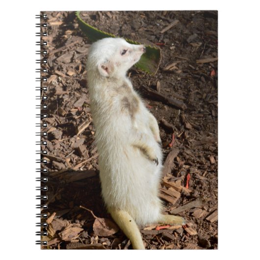 White Meerkat Standing, Notitieboek (Voorkant)