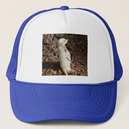 White Meerkat Standing, Trucker Pet (Voorkant)