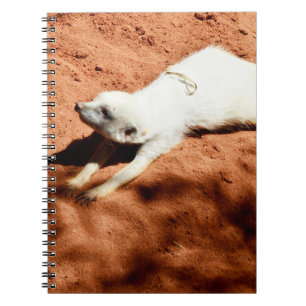 White Meerkat Stretching, Notitieboek