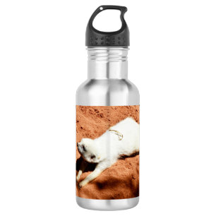White Meerkat Stretching, Water Fles
