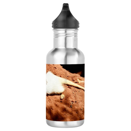 White Meerkat Stretching, Water Fles (Rechts)
