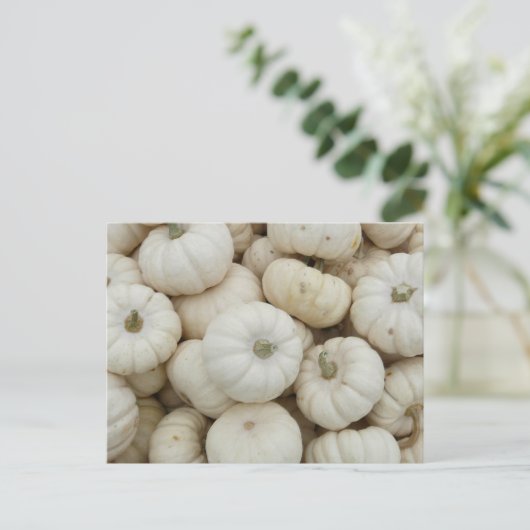 White Mini Pumpkins Briefkaart (Staand voorkant)