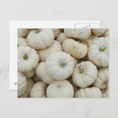 White Mini Pumpkins Briefkaart (Voorkant / Achterkant)