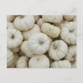 White Mini Pumpkins Briefkaart (Voorkant)