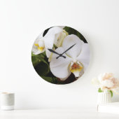 White Moon Orchid (Phalaenopsis Aphrodite) Grote Klok (Huis)