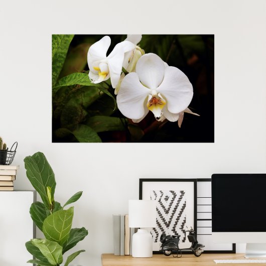 White Moon Orchid Poster (Thuiskantoor)