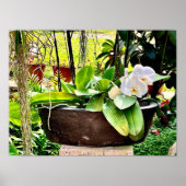 White Moon Orchid Poster (Voorkant)