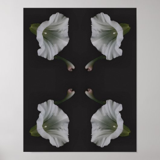 White Morning Glory Flower Abstract Poster (Voorkant)
