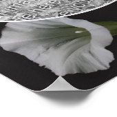 White Morning Glory Flower Creëer Uw eigen foto Poster (Hoek)