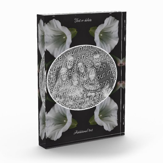 White Morning Glory Flower Creëer Uw Eigen Fotoblokken (Links)