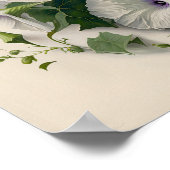 White Morning Glory Flowers Art Print Poster (Hoek)
