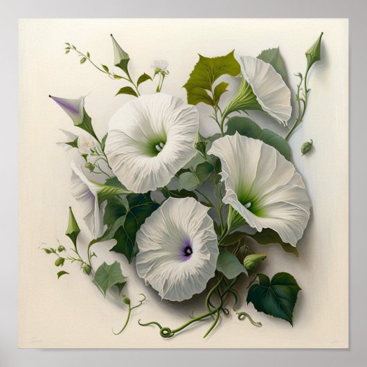 White Morning Glory Flowers Art Print Poster (Voorkant)