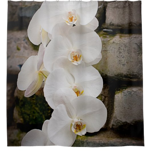 White Moth Orchid Douchegordijn (Voorkant)