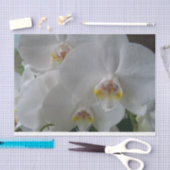 White Moth Orchids on tissue paper Tissuepapier (Craft)