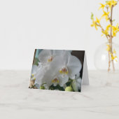 White Moth Orchids op een lege kaart (Gele Bloem)