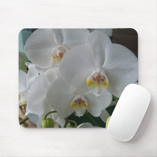 White Moth Orchids op een mousepad Muismat (Met muis)