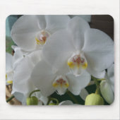 White Moth Orchids op een mousepad Muismat (Voorkant)
