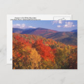 White Mountain Foliage Beer Notch Briefkaart (Voorkant / Achterkant)