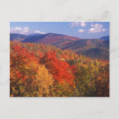 White Mountain Foliage Beer Notch Briefkaart (Voorkant)