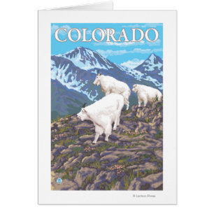 White Mountain Goat FamilyColorado