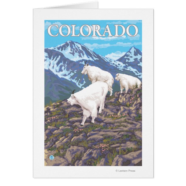 White Mountain Goat FamilyColorado (Voorkant)