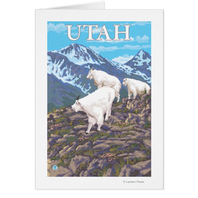 White Mountain Goat FamilyUtah (Voorkant)