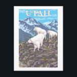 White Mountain Goat FamilyUtah Briefkaart<br><div class="desc">White Mountain Goat Family - Utah - LP Original Poster - werd in 2008 opgericht. Dit afbeelding schildert beelden uit Utah.</div>