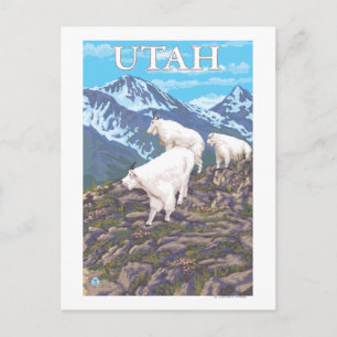 White Mountain Goat FamilyUtah Briefkaart