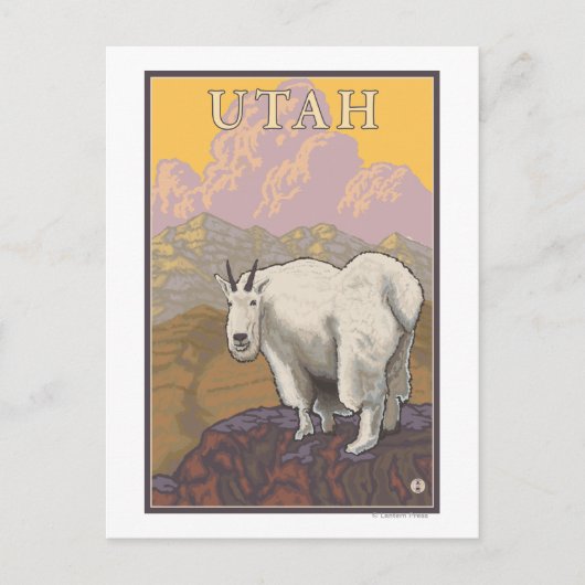 White Mountain GoatUtah Briefkaart (Voorkant)