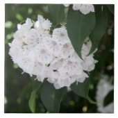 White Mountain Laurel Bloemen Groene bladeren Tegeltje (Voorkant)