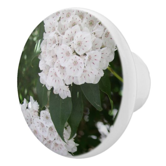  White Mountain Laurel Flowers Keramische Knop (Rechts)