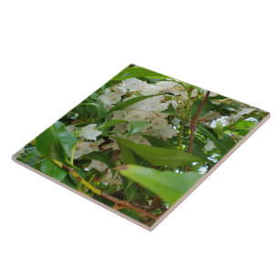 White Mountain Laurel Leaves Ceramic Tile Tegeltje