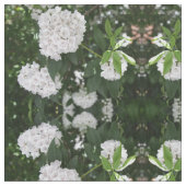 White Mountain Laurel Star Shaped Clusters Stof (Close Up)