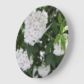 White Mountain Laurel Star Shaped Flowers Grote Klok (Hoek)