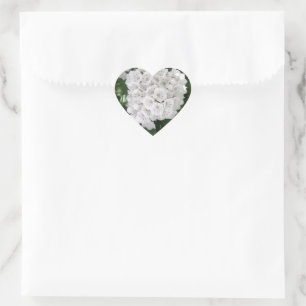 White Mountain Laurel Star Shaped Flowers Hart Sticker
