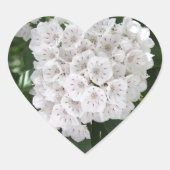 White Mountain Laurel Star Shaped Flowers Hart Sticker (Voorkant)
