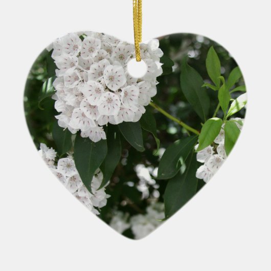 White Mountain Laurel Star Shaped Flowers Keramisch Ornament (Voorkant)