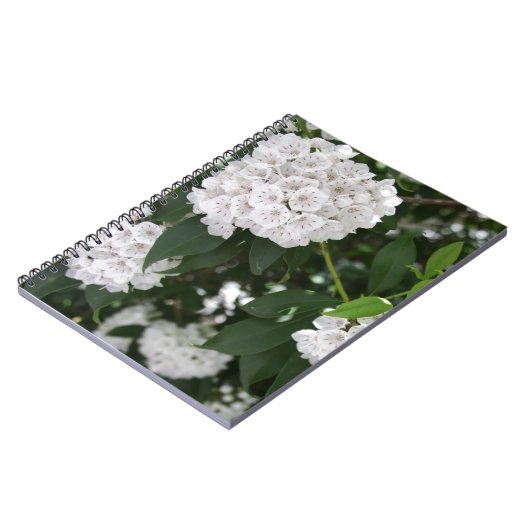 White Mountain Laurel Star Shaped Flowers Notitieboek (Linkerzijde)