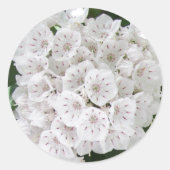 White Mountain Laurel Star Shaped Flowers Ronde Sticker (Voorkant)