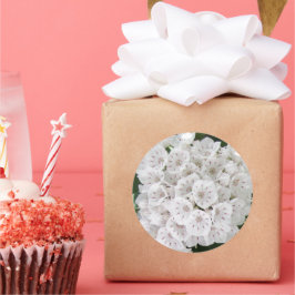 White Mountain Laurel Star Shaped Flowers Ronde Sticker