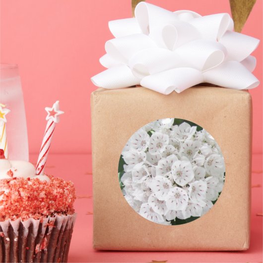 White Mountain Laurel Star Shaped Flowers Ronde Sticker (Feest)