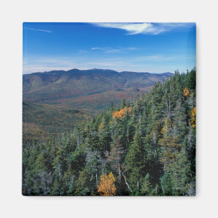White Mountain N.F., NH. Het uitzicht van nabij Magneet