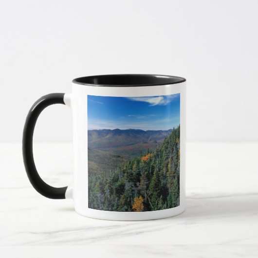 White Mountain N.F., NH. Het uitzicht vanuit de bu Mok (Links)