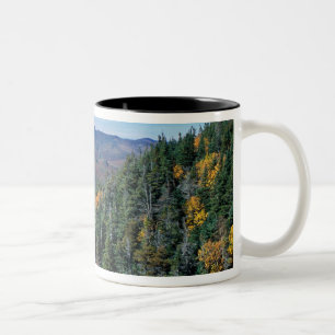 White Mountain N.F., NH. Het uitzicht vanuit de bu Tweekleurige Koffiemok